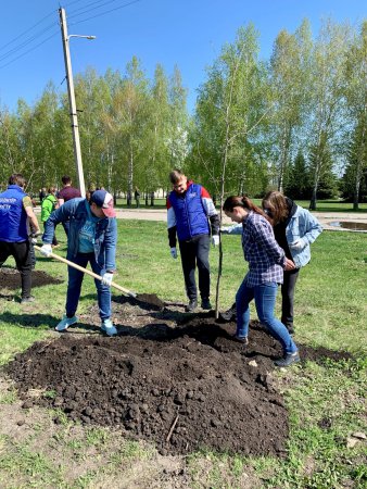 Молодежь ТФОМС присоединялась к акции «Сад памяти» в Ульяновской области
