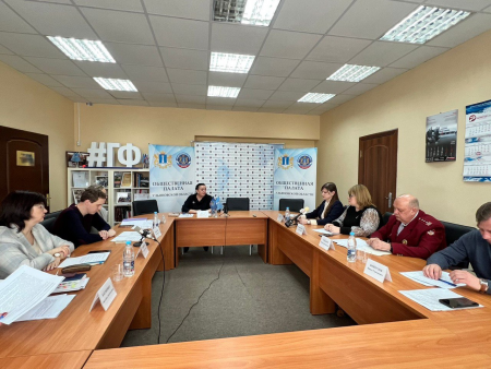 Заседание комиссии Общественной палаты Ульяновской области