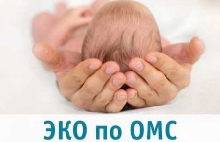 604 процедуры ЭКО проведены жительницам региона за 2025 год